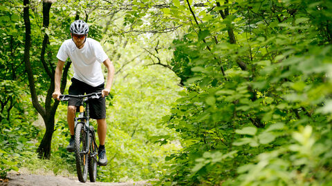 Radfahrer Radfahrer im Wald