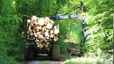 Forwader Forwader im Einsatz