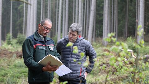 Waldbetreuung Förster und Waldbesitzer im Gespräch