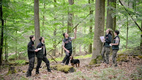 Försterinnen und Förster bei der Ausbildung Försterinnen und Förster bei einer Waldbauschulung