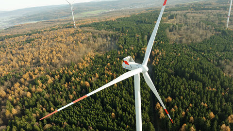 Windkraftanlage im Wald
