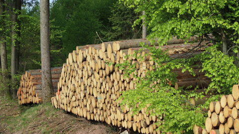 Holzpolter am Weg Holzpolter am Weg