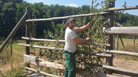 Praktikant im Tiergarten Weilburg