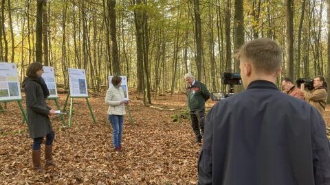 Frau Dr. Talkner (NW-FVA), Frau Ministerin Hinz und Herr Nowack (HessenForst) bei der Vorstellung des Waldzustandsberichts. Frau Dr. Talkner (NW-FVA), Frau Ministerin Hinz und Herr Nowack (HessenForst) bei der Vorstellung des Waldzustandsberichts.