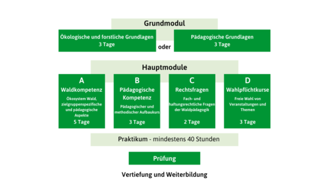 Module Waldpädagogikzertifikat Module Waldpädagogikzertifikat
