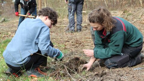 Reviervertreterin Frau Tinnefeld unterstützt den Nachwuchs bei der Pflanzung
