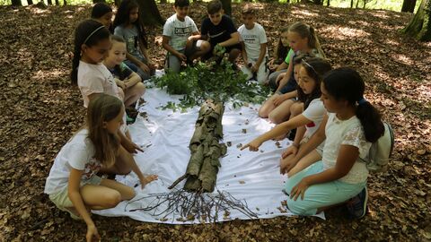 Schulklasse bei der Waldpädagogik Schulklasse bei der Waldpädagogik