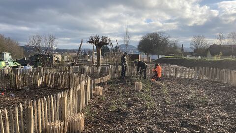 Zur besseren Sichtbarkeit der unterschiedlichen Pflanzengruppen werden Beeteinfassungen angebracht