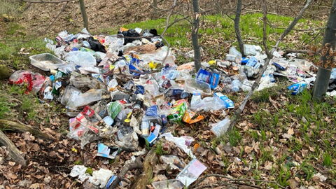 Stinkender Müll im Waldgebiet der „Lichten Heide“ bei Carlsdorf im Revier Waldhaus unweit der L 3229. 