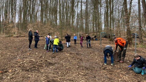 Pflanzaktion im Villmarer Gemeindewald Pflanzaktion im Villmarer Gemeindewald