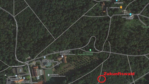 Standort Zukunftswald Standort Zukunftswald