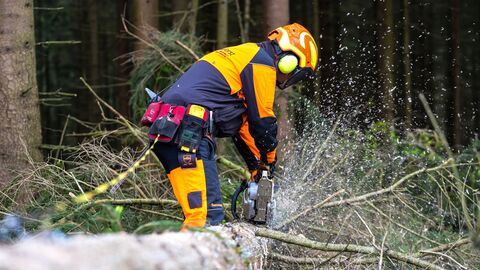 Eigenverantwortliches Handeln und präzise Schneidetechniken sind Schwerpunkte bei der Forstwirtausbildung