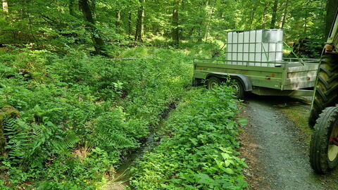 Bewässerung von Laichstellen des Grasfrosches Bewässerung von Laichstellen des Grasfrosches