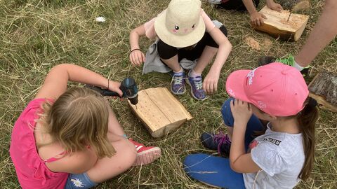 Kinder bauen Insektenhotel Kinder bauen Insektenhotel