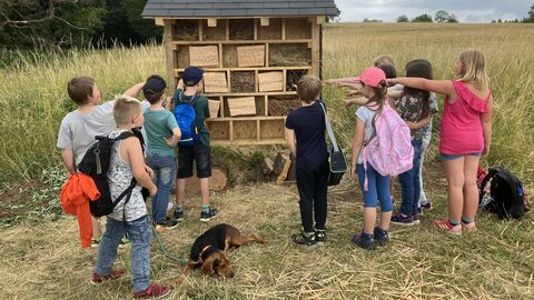 Bau eines Insektenhotels Bau eines Insektenhotels