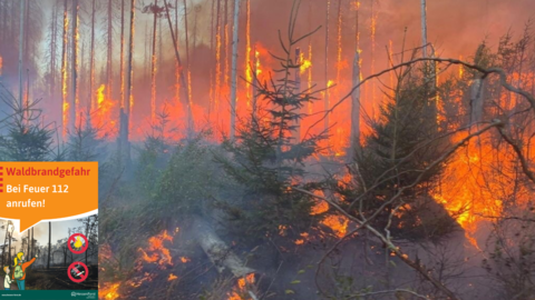 Waldbrandgefahr Waldbrandgefahr