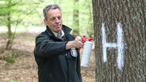 Klaus Kraft markiert einen Habitatbaum Förster markiert Habitatbaum