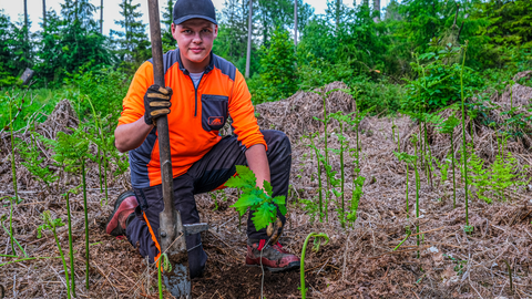 Die nächste Generation für einen klimaresilienten Wald Forstwirt pflanzt junge Bäume mit Pflanzgerät