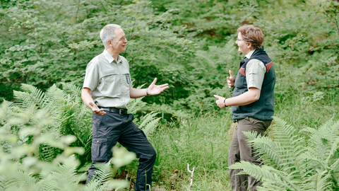 Beratung für nachhaltige Forstwirtschaft Zwei Experten unterhalten sich im Wald