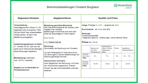 Flyer Brennholz Burghaun