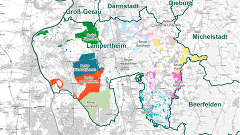 Reviergrenzen Forstamt Lampertheim