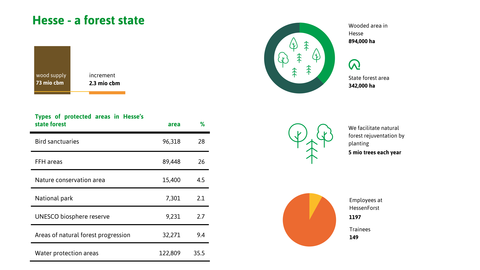 Hesse - a forest state Various statistics on state forest Hesse and HessenForst