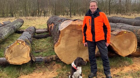 Der wertvollste Stamm der Submission Revierleiter Christian Korff steht vor dem wertvollsten Eichenstamm