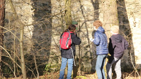 Fleißige Pfadfinder beim Nistkästenreinigen im Wildpark „Alte Fasanerie“ in Hanau Fleißige Pfadfinder beim Nistkästenreinigen im Wildpark „Alte Fasanerie“ in Hanau
