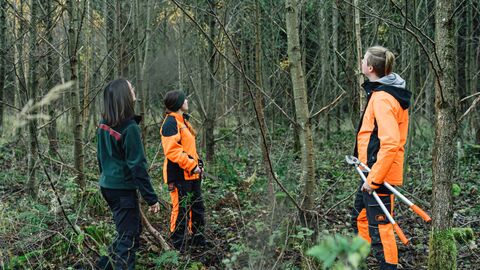 Arbeitseinsatz mit Freiwilligendienstleistenden in der Jungbestandspflege 
