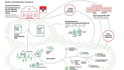 Organigramm HessenForst Verortung des Landesbetriebs in Landesverwaltung Hessen