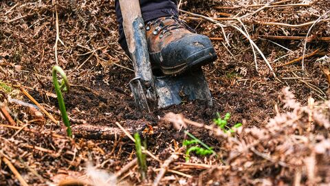 Ein kleiner Spatenstich für den Menschen, ein großer Schritt für den Wald der Zukunft Ein kleiner Spatenstich für den Menschen, ein großer Schritt für den Wald der Zukunft