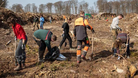 Dein Tag für den Wald: Mach mit bei den Aktionen von HessenForst zum Internationalen Tag des Waldes Gemeinsam pflanzen Freiwillige und Mitarbeitende von HessenForst den Wald von Morgen
