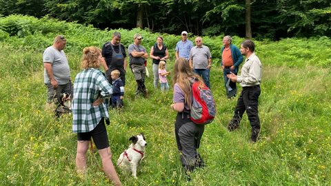Anschauen von Naturshcutzmaßnahmen