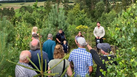 Revierleiter Björn Brandau gibt Informationen zur Wiederbewaldung