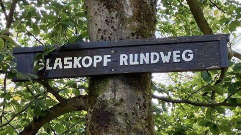 Wegweiser Glaskopf Rundweg