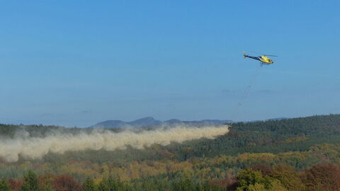 Hubschrauber beim Verteilen von Kalk über einem Mischwald