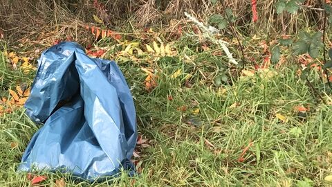 Müll im Arboretum  Blaue Mülltüte im Gras