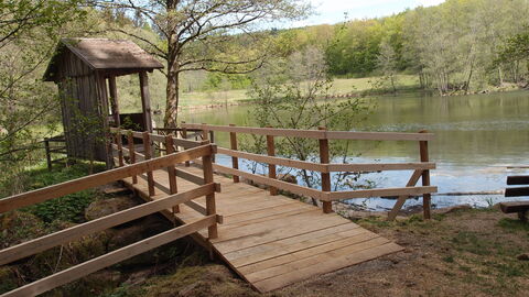 Willingsgrundweiher Der Willingsgrundweiher