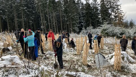 Pflanzaktion am Eichkopf