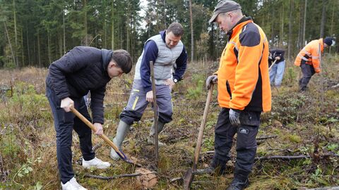 Unter geduldiger Anleitung von Forstwirtschaftsmeister Frank Kleinwächter lernen auch die Lehrer das fachgerechte Pflanzen.