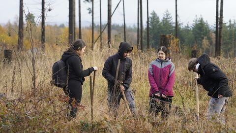 Schüler pflanzen mit vereinten Kräften.