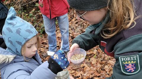 Das gemeinsame Bastel der Futterzapfen aus Kokosöl und Vogelfutter war für alle Beteiligten das Highlight der Führung.  Försterin bastelt gemeinsam mit Kind einen Futterzapfen