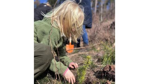 Die geleistete Arbeit wird kontrolliert Ein Kind kniet auf der Fläche und begutachtet eine Douglasie