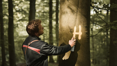 Auf dem Foto sehen Sie einen Mann der ein H auf einen Baum sprüht. Das H steht für Habitatbaum 