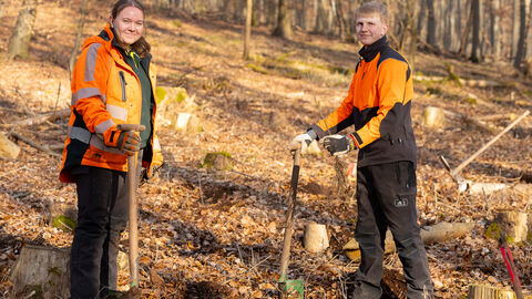 Zwei Personen stehen im Wald