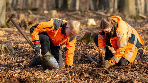 Zwei Personen knien auf dem Waldboden und pflanzen einen Baum