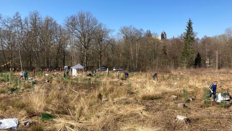 Auf dem Bild sieht man eine gepflanzte Fläche auf der mehrere Menschen stehen und Bäume pflanzen