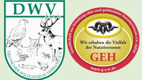 Logos Auf dem Foto sieht man die zwei Logos der in diesem Artikel vorgestellten Vereine
