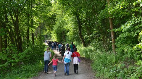 Wandertag  Auf dem Foto sehen sie eine Gruppe Wanderer in einem Wald