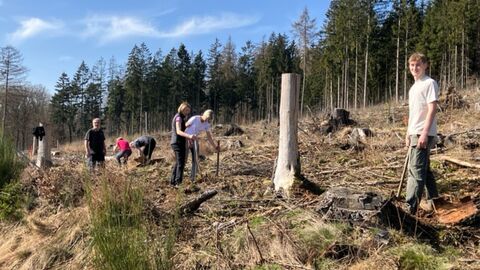 Freiwillige Helfer beim Pflanzen Freiwillige Helfer beim Pflanzen